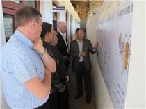 Steering committee visit