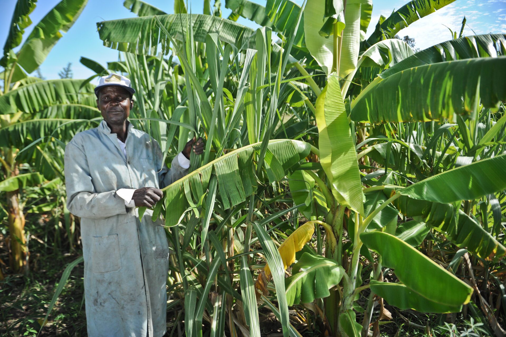 CCAFS East African regional program selects six sites to test interventions that address risks related to climate change and variability. Featured here is the Lower Nyando