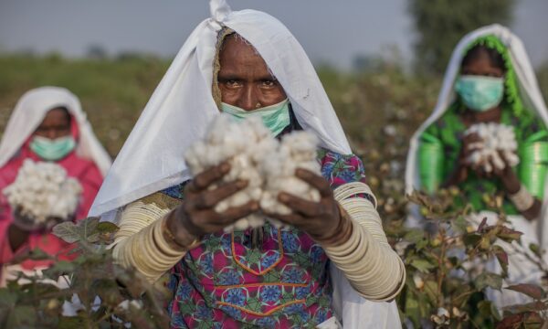 "Better Cotton Project Sind, Pakistan"