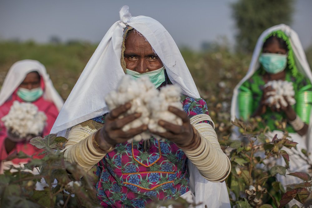 "Better Cotton Project Sind, Pakistan"