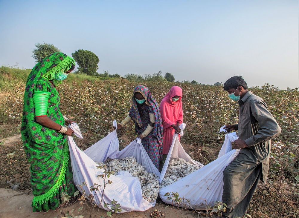"Better Cotton Project Sind, Pakistan"