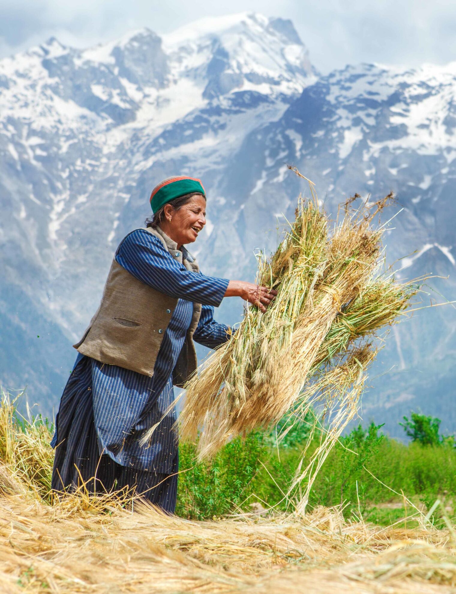 Agricultural time Agricultural summer time high up in the mountains