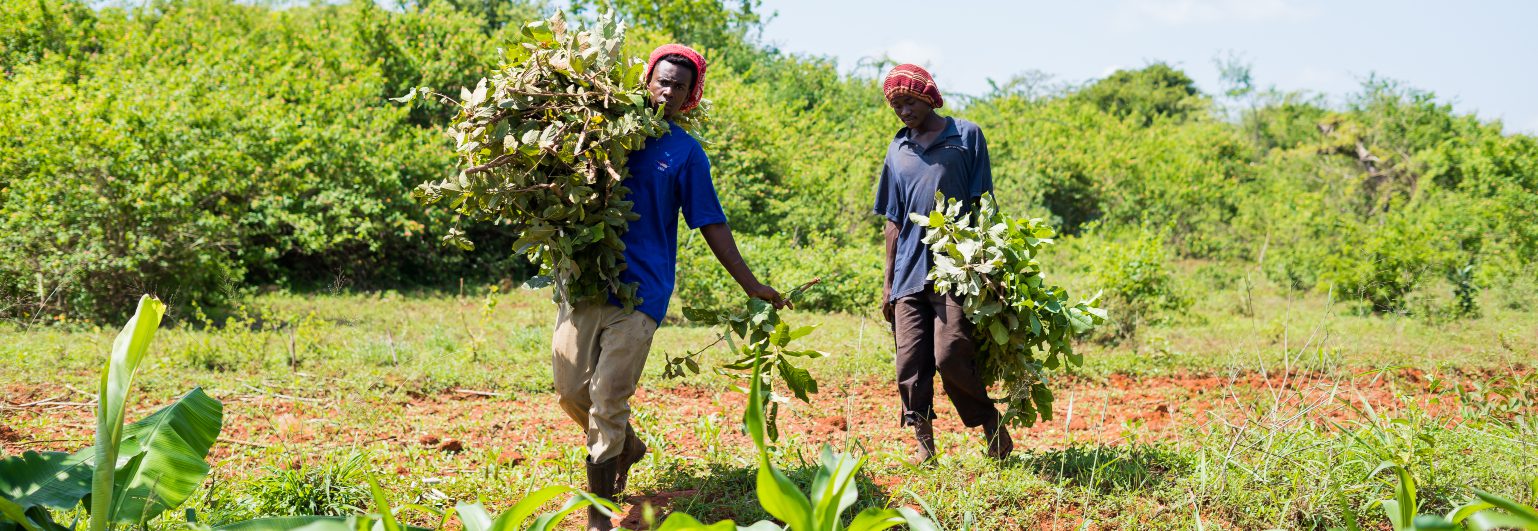 African farmers in field 1538x531 African farmers in field