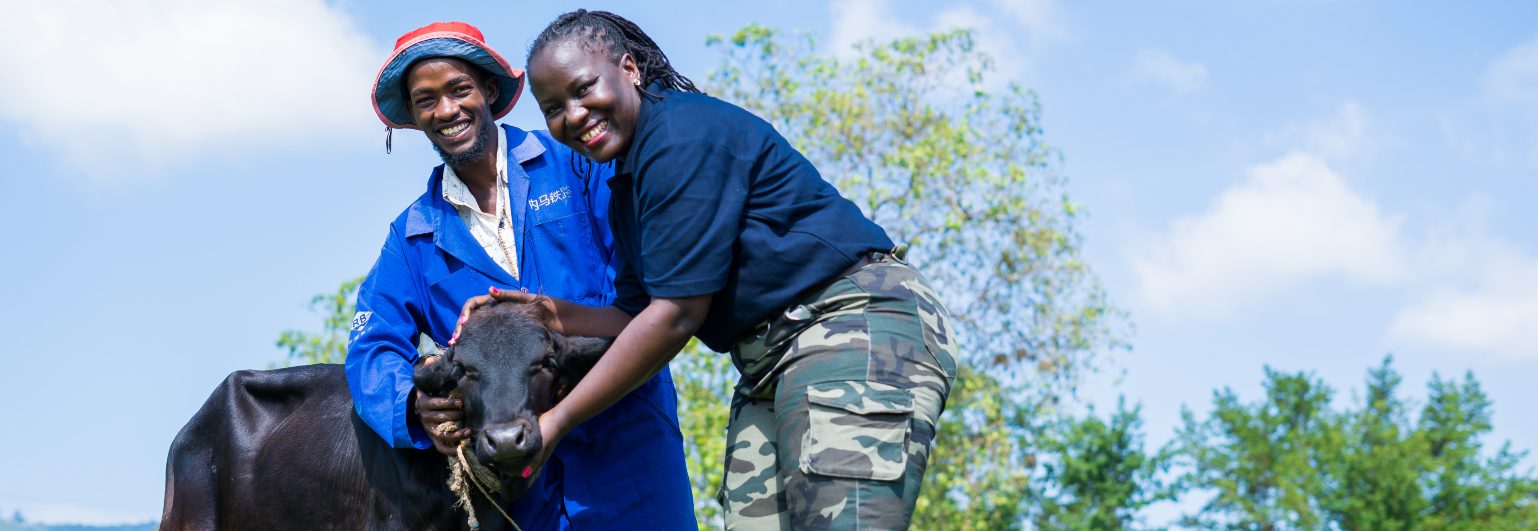 African farmers with a cow 1538x531 African farmers with a cow 1538x531