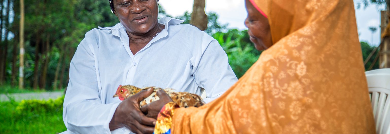 African female farmers with a chicken 1538x531 African female farmers with a chicken 1538x531