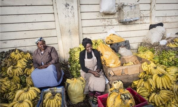 Women selling bananas at market
