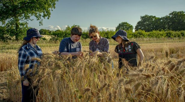 Blog-women-in-wheat-July-25-615x340 Blog-women-in-wheat-July-25-615x340