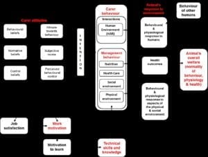 Fig. 15.8E. Hypothesized animal carer–animal relationship based on the Theory of Planned Behaviour.