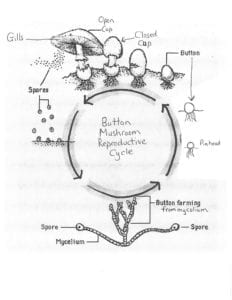 Figure 22.1