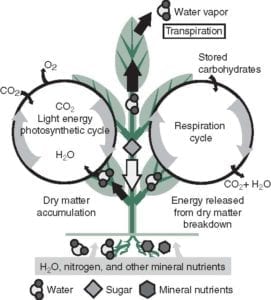 Figure 4.4