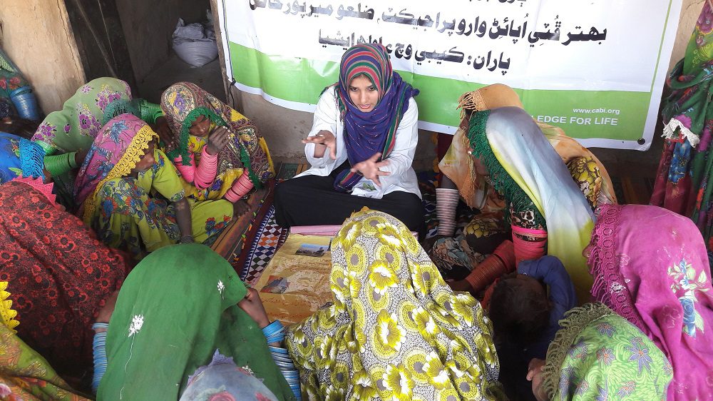 Better Cotton Initiative in Pakistan