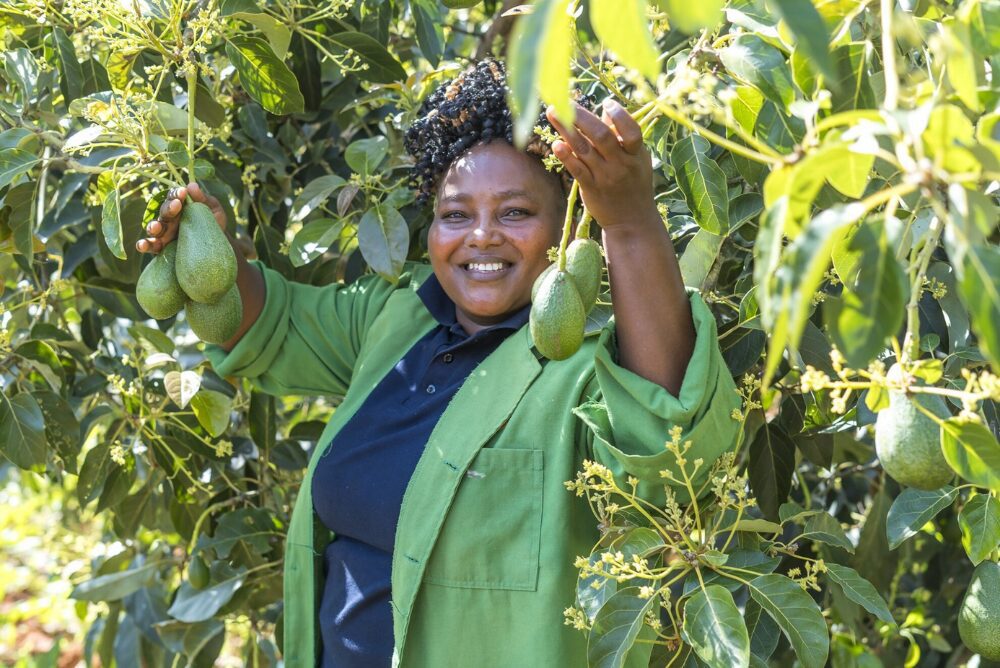 CABI Strategy 2025-28 1000x668