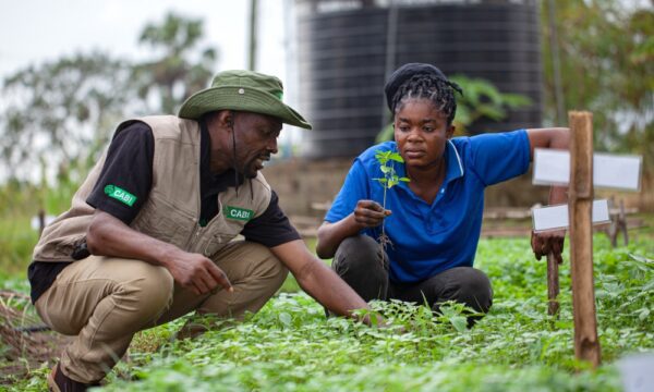 CABI staff and female farmer in Ghana_1000x667
