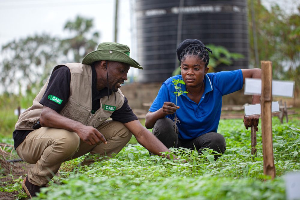 CABI staff and female farmer in Ghana_1000x667