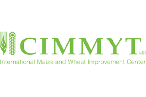 CIMMYT Logo