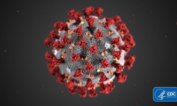 Coronavirus