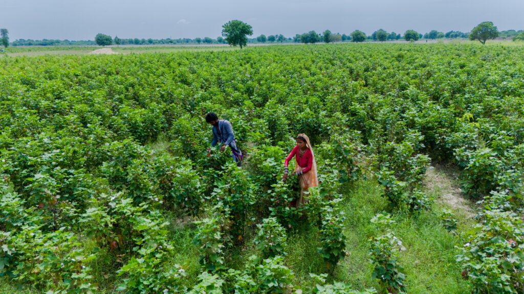 Two farmers working in an agricultural field in Pakistan, surrounded by a rural landscape that supports biodiversity and sustainable land management