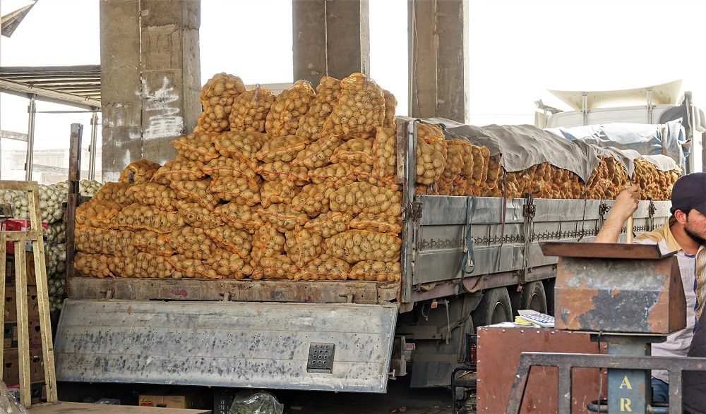 Kurdistan potatoes