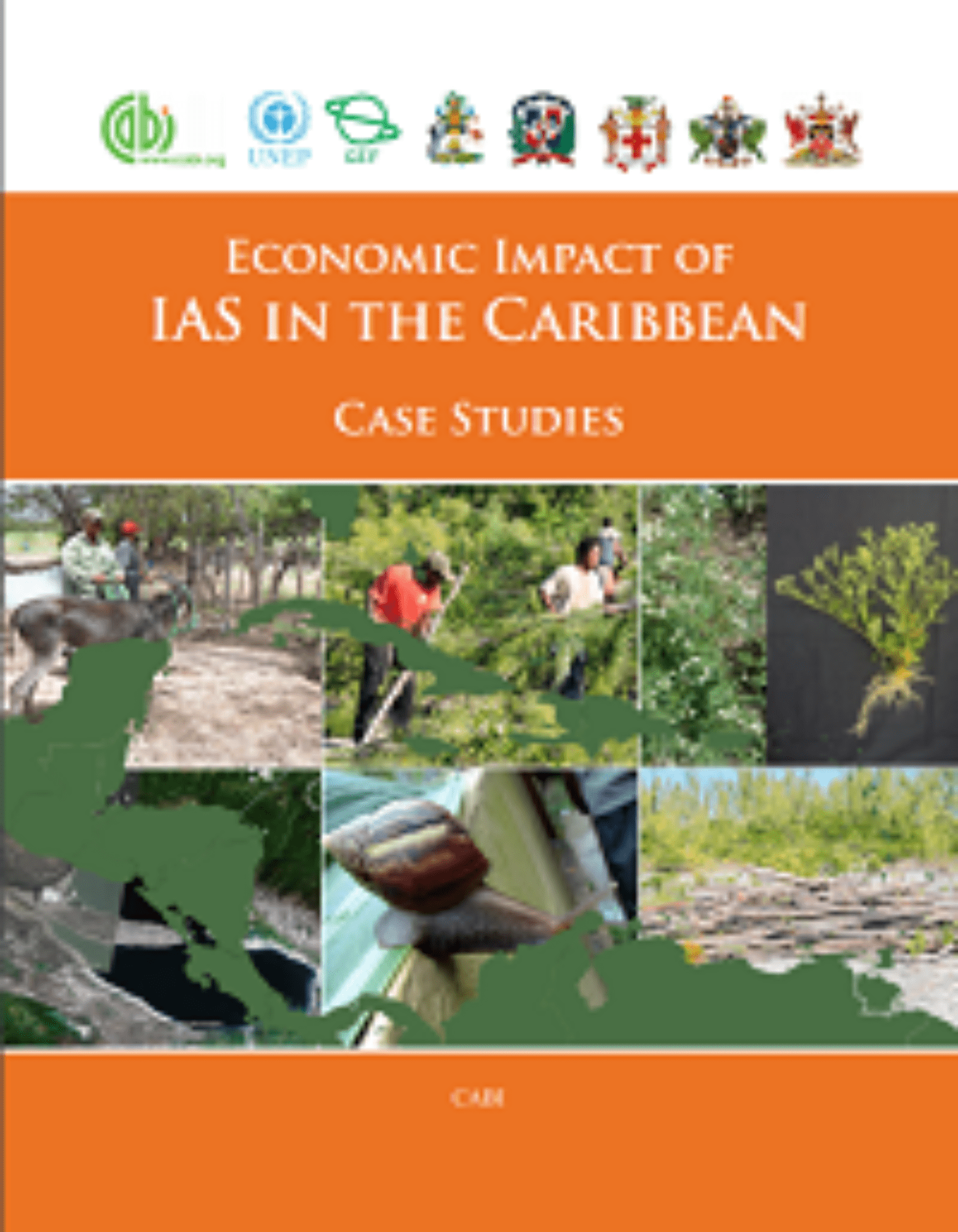 The Patchy 5G Rollout In The Caribbean:  The Economic Impact - ta3nv90