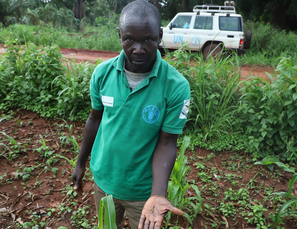 Extension worker in Yambio showing the FAW larvae on maize (002)