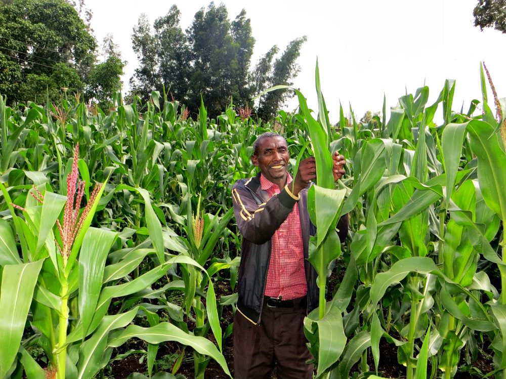 Farmer in field