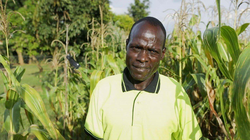 Timothy Okumu, a farmer in Bungoma, who used the mating disruption pheromone on his farm (Credit: CABI).