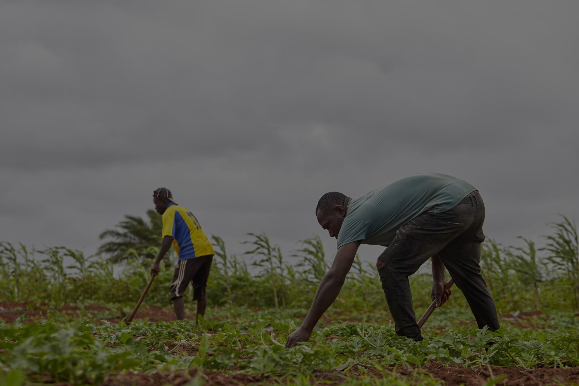 Agriculture and environmental