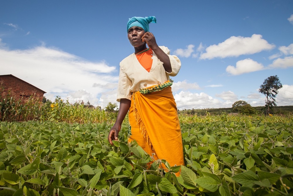 Female farmer in field