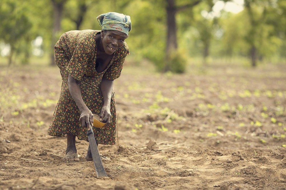 Female farmer planting