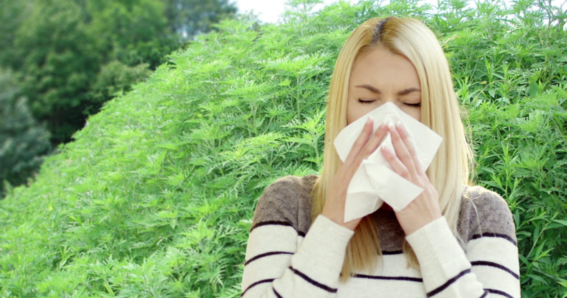 Woman with allergy from ragweed