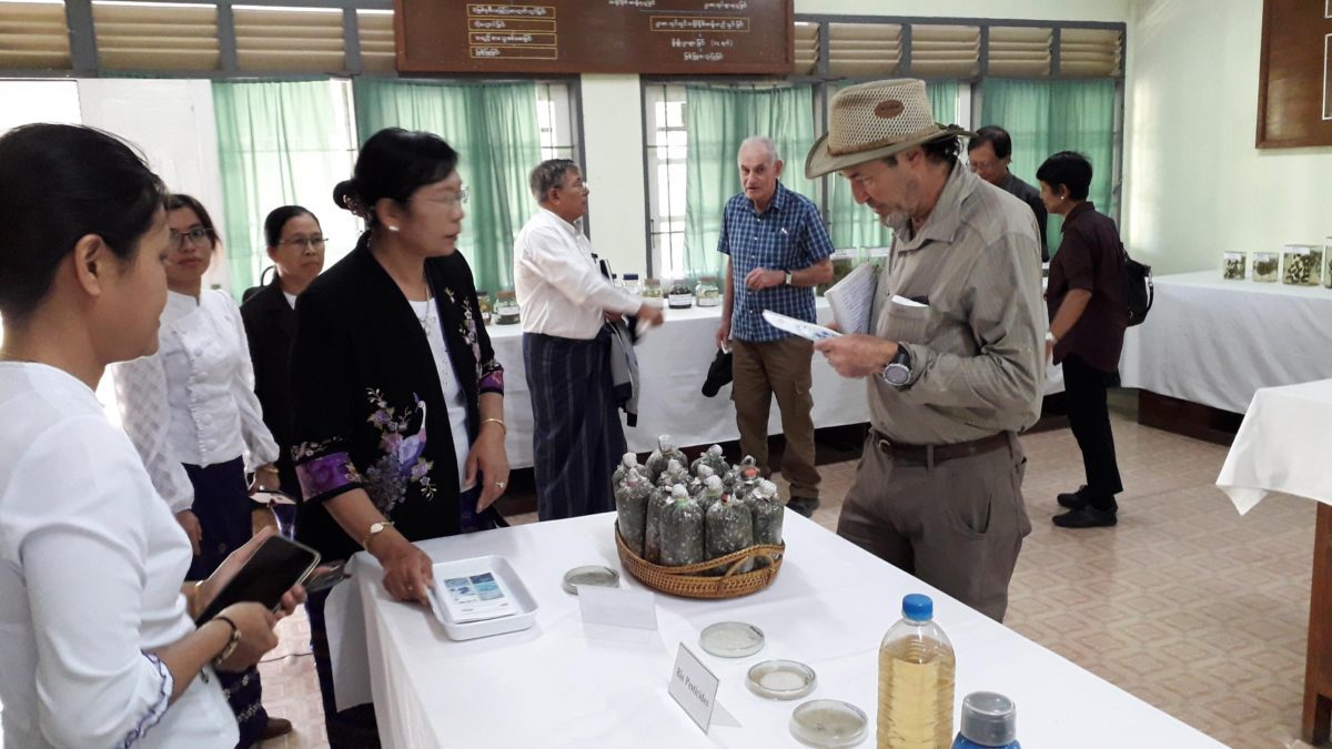 Helping to achieve sustainable agriculture in Myanmar ...