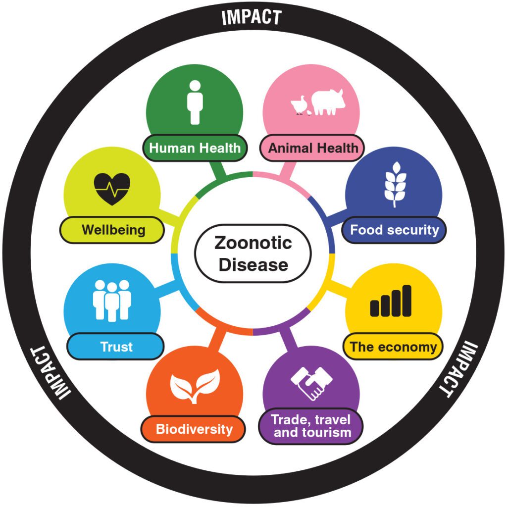 Figure 1: Zoonotic disease (click on figure to open in new tab)
