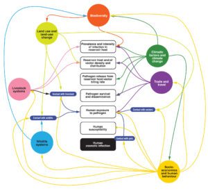 Figure 2: Conceptual framework (click figure to open in new tab)
