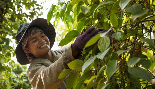 Coffee farmer