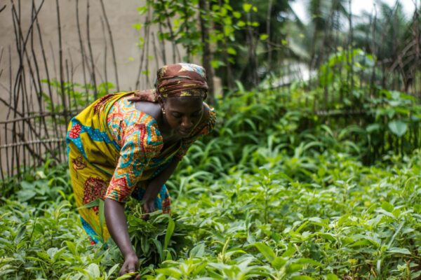 Woman farmer in Ghana