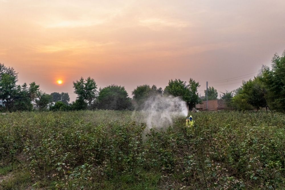 Global Partnership for Pesticide Risk Reduction