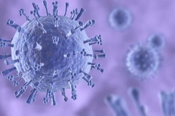 H1N1 flu cell