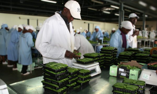 Trade in Ghana
