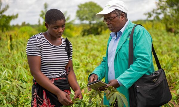 "Simplex Chisale, Plant Doctor in Mitundu Village, Malawi"