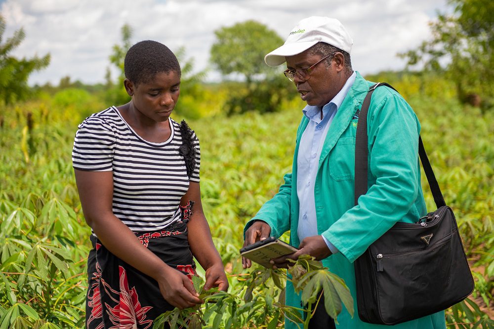 "Simplex Chisale, Plant Doctor in Mitundu Village, Malawi"
