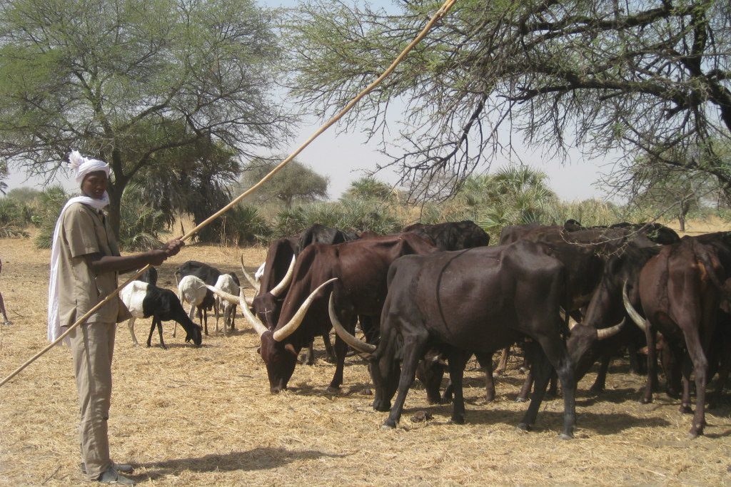 Herder_one health_1024x683 Herder_one health_1024x683