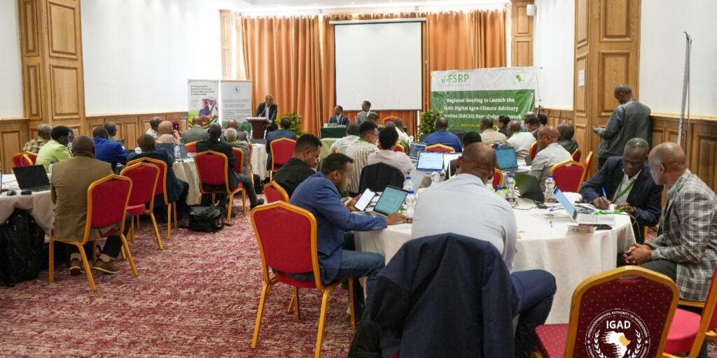 IGAD workshop in progress