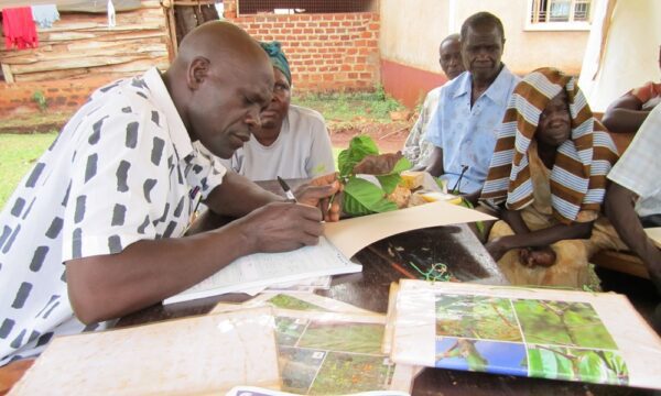 Photos from Andrew Tock University of Warwick research and his trip to Uganda