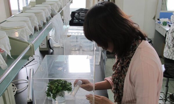 MARA Joint Lab