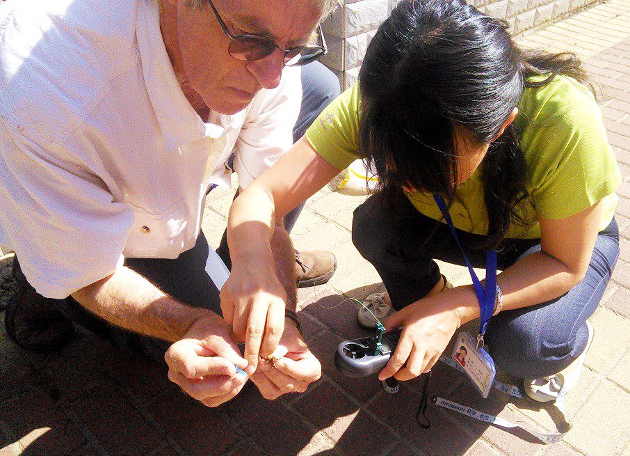 Measuring temperature of an Oriental migratory locust