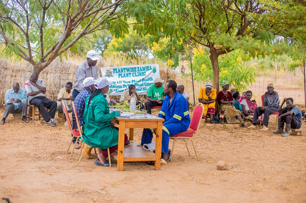 Plant clinic in Zambia