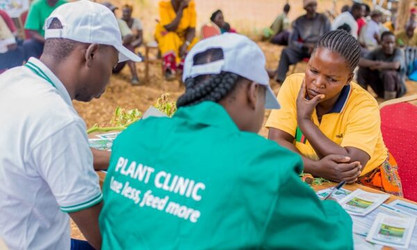 "Chinyunyu Plant Clinic in Rufunsa district, Zambia."