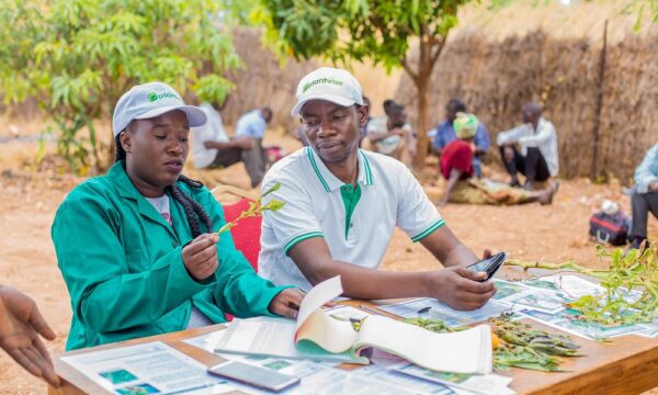 Plant doctors at a plant clinic in Kenya