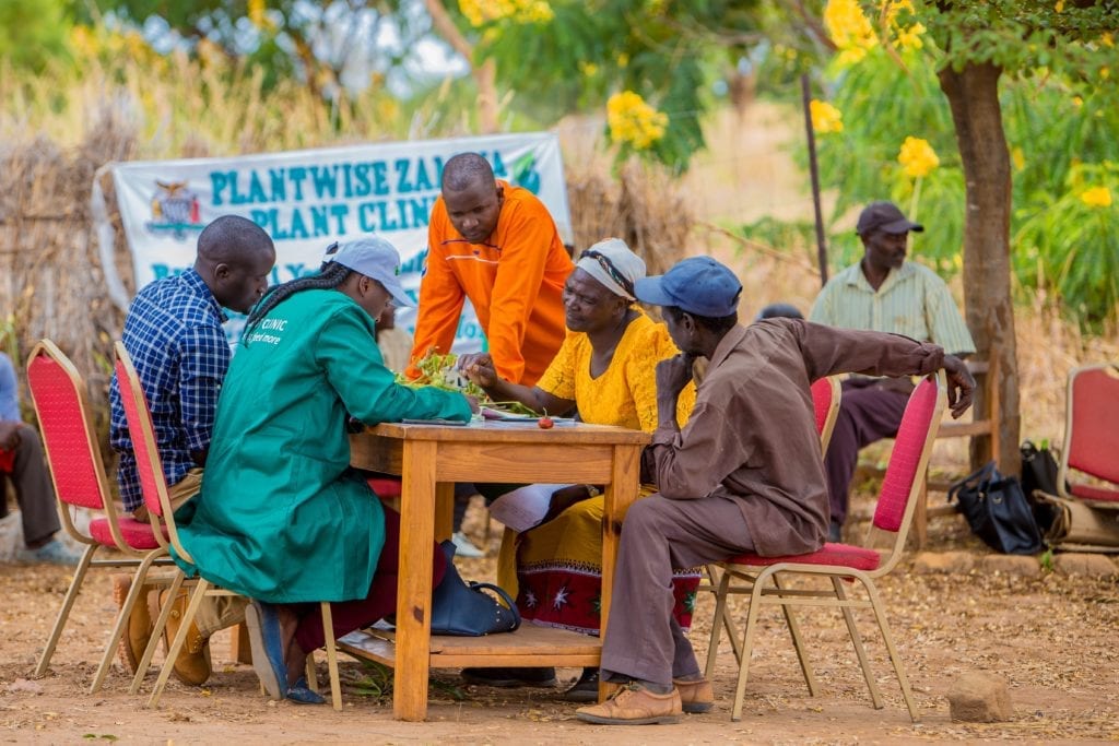 Chinyunyu Plant Clinic in Rufunsa district, Zambia. Plant doctors Obedience Sibale (blue shirt) and Bwalya Mulenga (green lab coat) advise farmers.