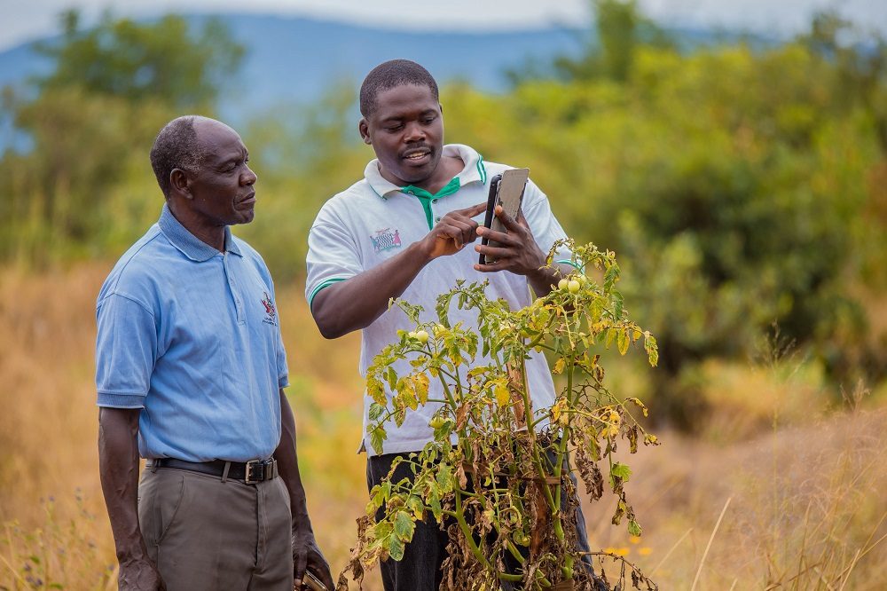 "Chinyunyu Plant Clinic in Rufunsa district, Zambia." "Chinyunyu Plant Clinic in Rufunsa district, Zambia."